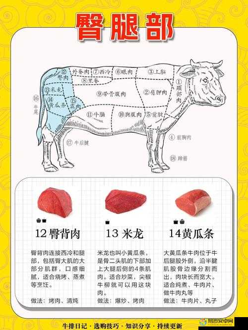九阴真经手撕牛肉图谱必看！隐藏获取方式+实战效果全解析