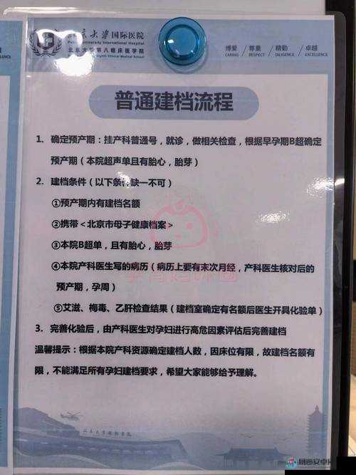 医院存档出问题崩溃！这份终极解决指南让你立刻找回数据